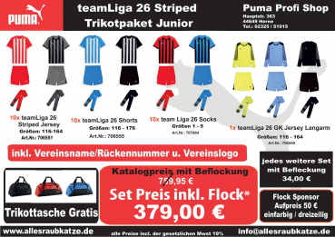 Puma teamLiga26 Striped Trikotpaket Kinder